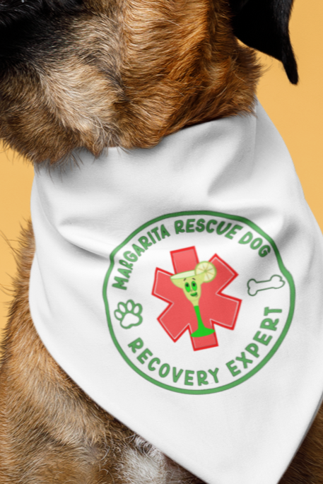 Margarita Rescue Dog - Recovery Expert Bandana Collar White