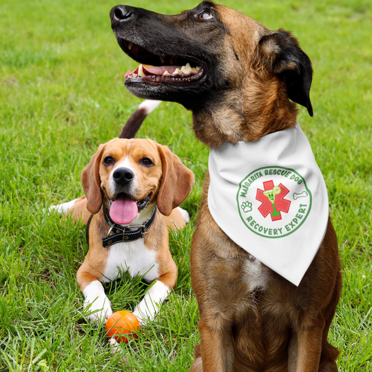 Margarita Rescue Dog - Recovery Expert Bandana Collar White